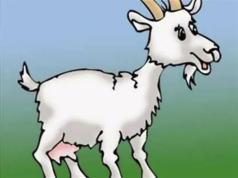 Два упрямых козлика ушинский. Русская белая коза и зааненская. Про козу и козленка. Про козу и козленка. Иллюстрации к сказке козлятки и волк в обработке ушинского.