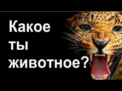 Какое вы животное