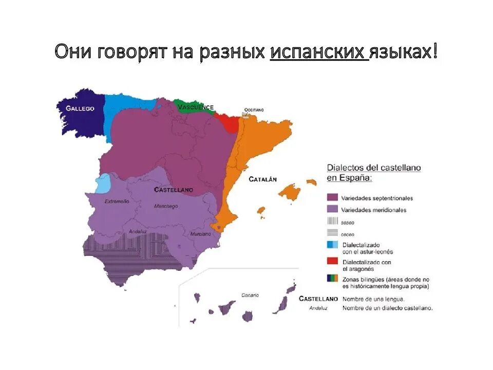 На каком материке говорят по испански. Диалекты испанского языка в Испании. Карта диалектов Испании. Региональные языки и диалекты Испании. Языковая карта Испании.