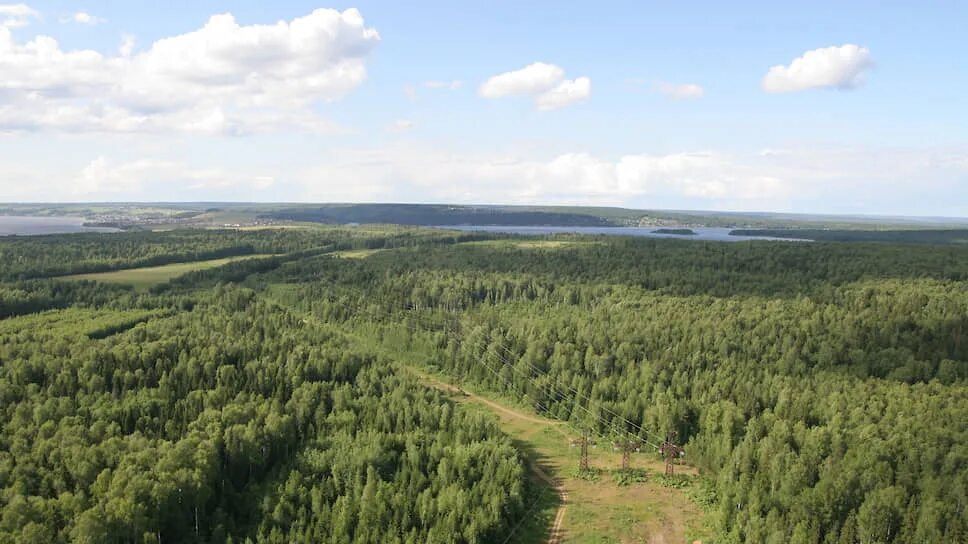 Умный лес Пермский край. Мониторинг лесных ресурсов. Леса Прикамья. Мониторинг лесного фонда.