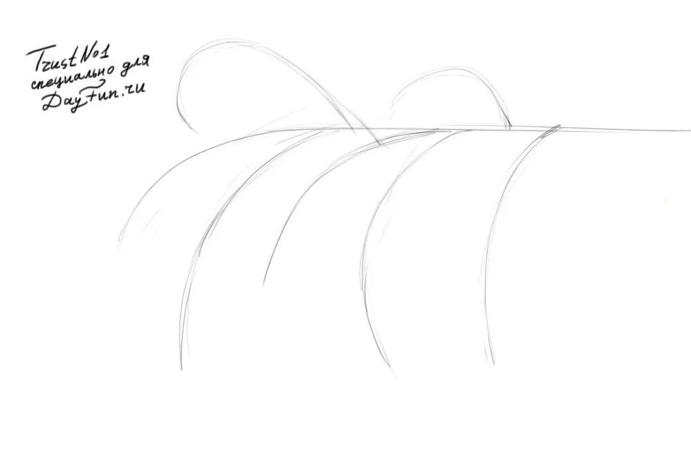 Как нарисовать черемуху поэтапно. Сирень рисунок пошагово. Черемуха рисунок. Сакура дерево рисунок карандашом. Как нарисовать черемуху поэтапно.