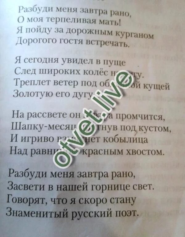 Разбуди меня завтра рано слушать. Стихотворение Разбуди меня рано. Стих Разбуди меня утром рано. Анализ стиха Разбуди меня завтра рано. Разбуди меня завтра рано.