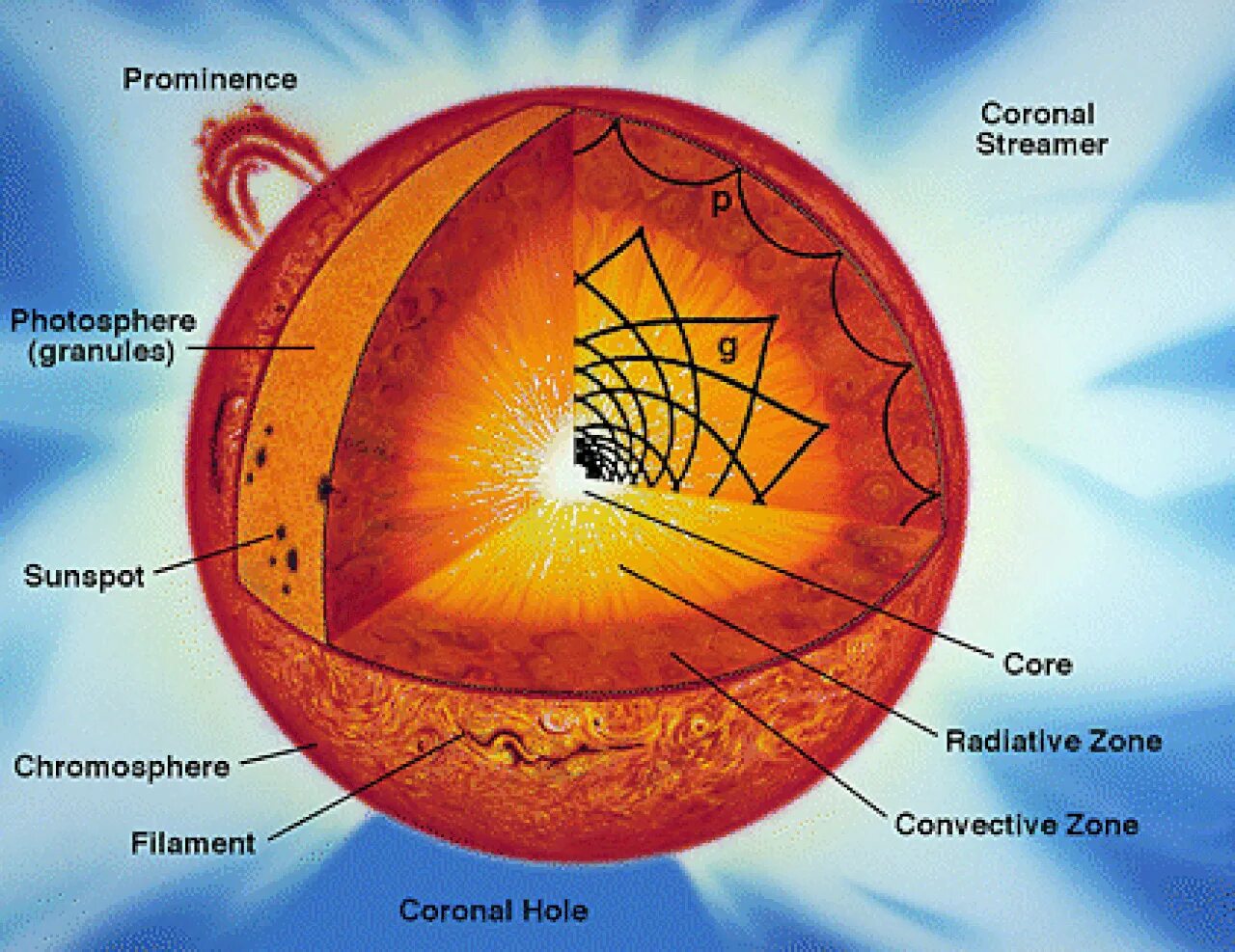 Из каких основных элементов состоит солнце. Внутреннее строение солнца. Солнце структура и строение. Строение солнца схема. Ну трени строение солнце.