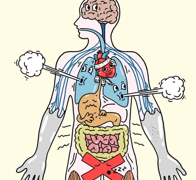 Стресс организма. Системы организма человека. Стресс и тело. Последствия стресса рисунок. Адреналин кишечник