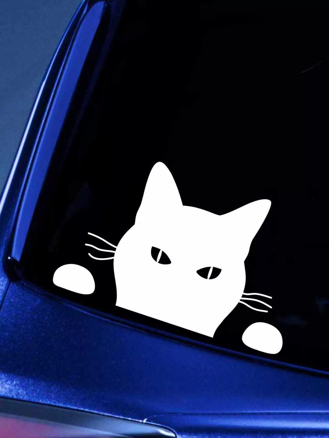 Black cat car