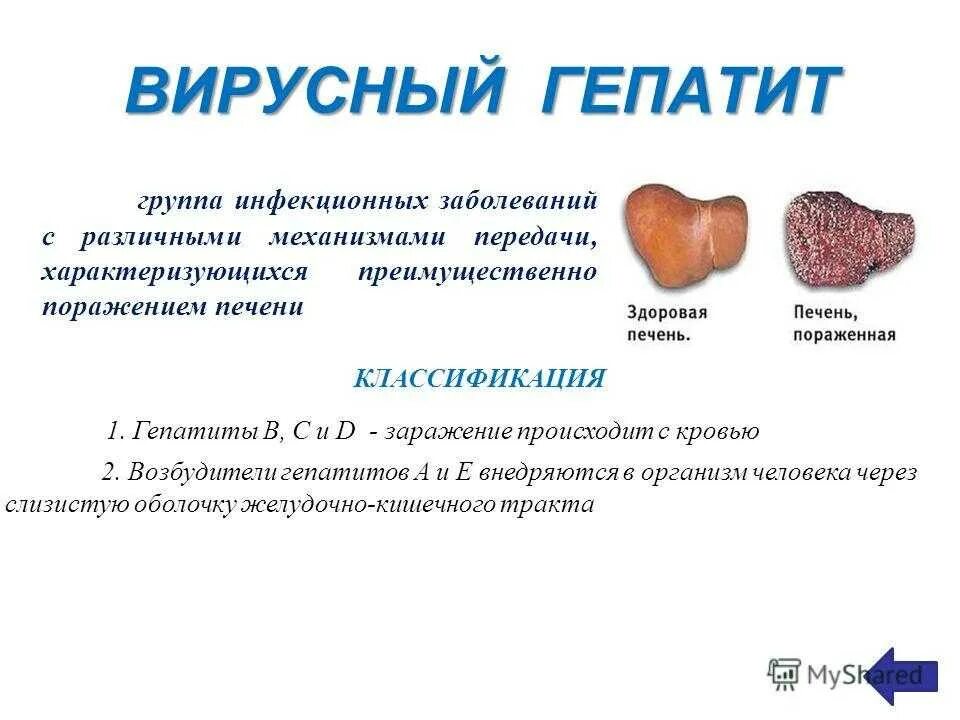 Печень при вирусном гепатите. Вирусные болезни печени (гепатит).. Вирусный гепатит (болезнь Боткина). Болезни группы б