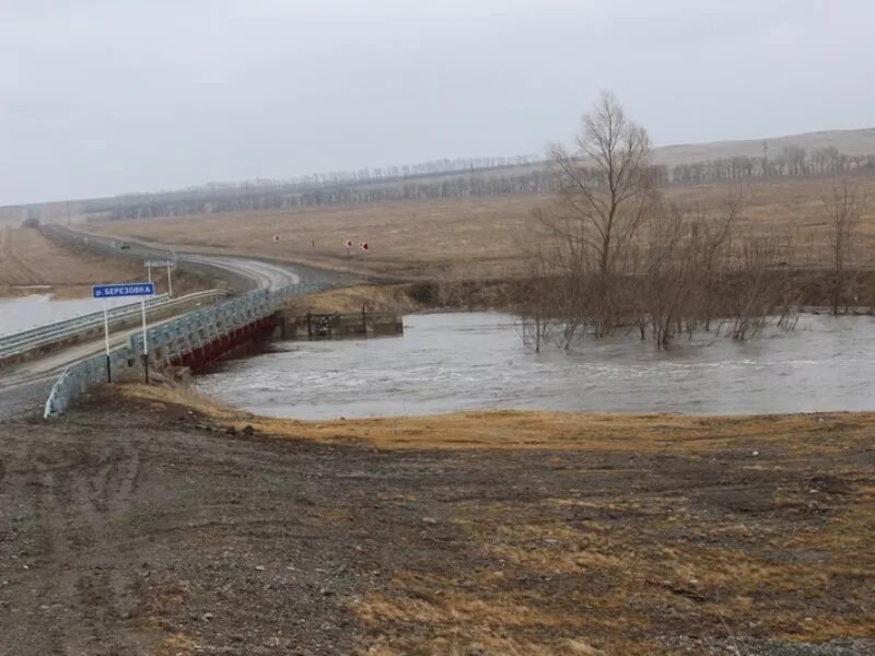 Погода село маралиха. Усть козлуха алтайский край. река маралиха алтайский край. маралиха краснощековского района алтайского края. усть-козлуха краснощековского.
