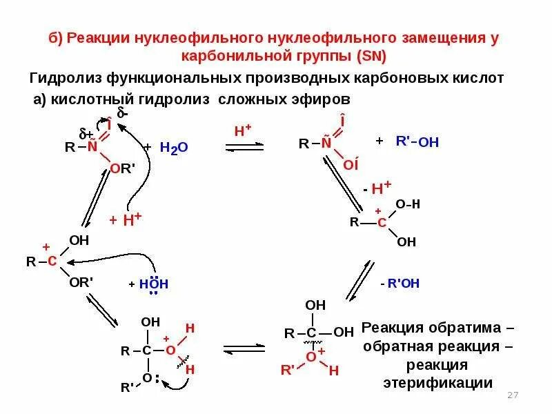 Реакция этерификации механизм нуклеофильного замещения. Механизм нуклеофильного замещения карбоновых кислот. Нуклеофильное замещение карбонильной группы. Механизм этерификации карбоновых. Карбоновые кислоты образуются при гидролизе