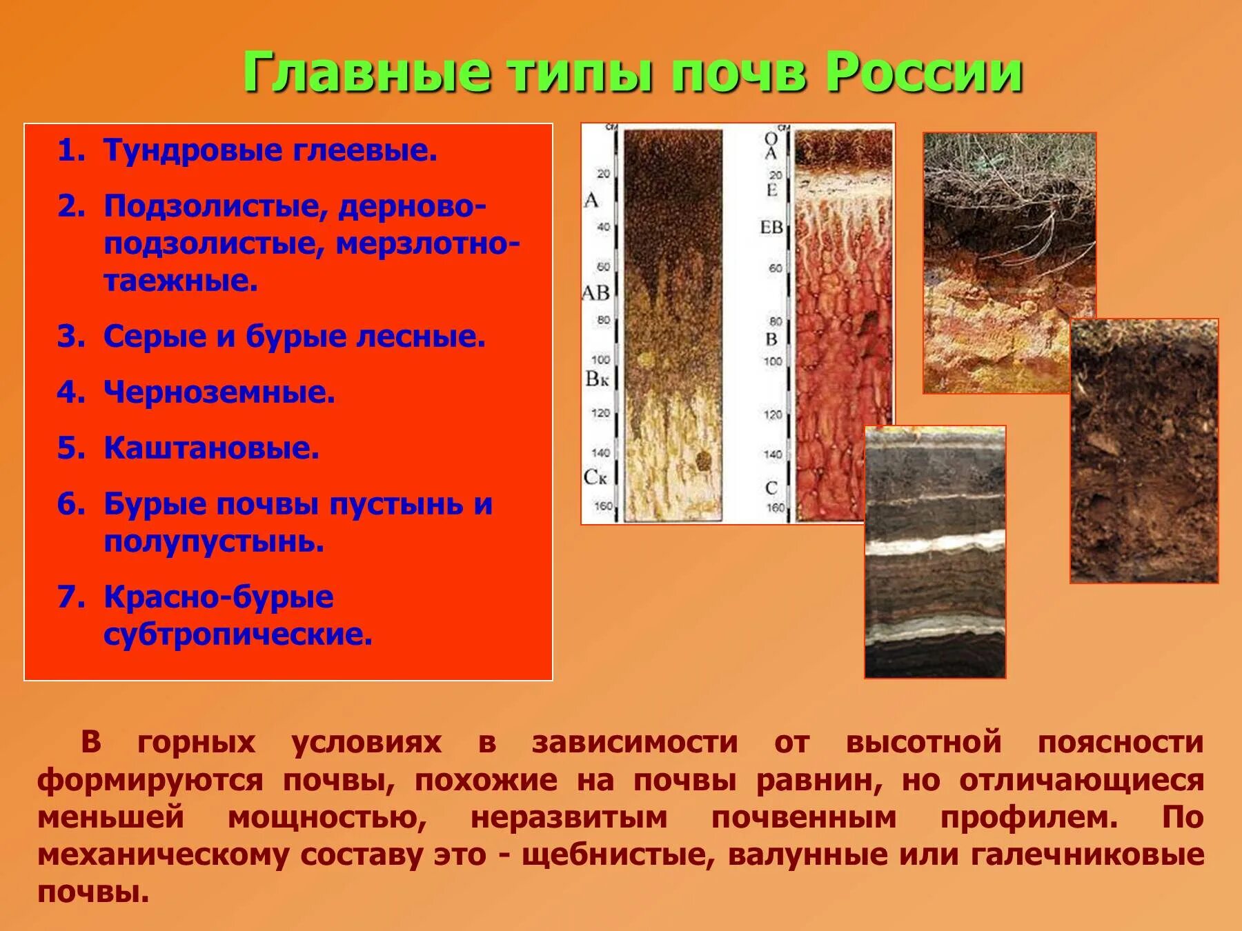 Условия образования серых почв. Дерново-подзолистые глеевые. Дерново-подзолистые глеевые почвы. Основные типа почв России подзолистые. Типы почв чернозем подзолис.