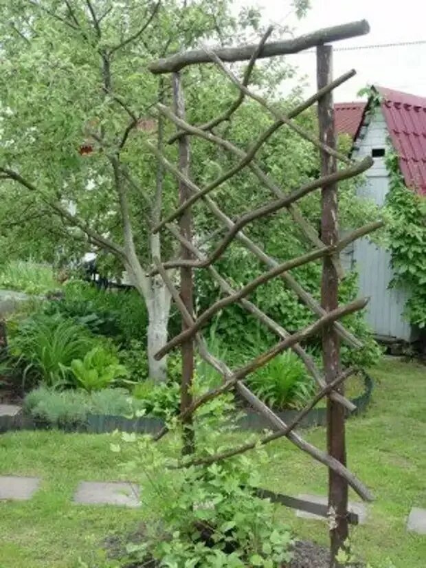 Сделать опору для вьющихся
