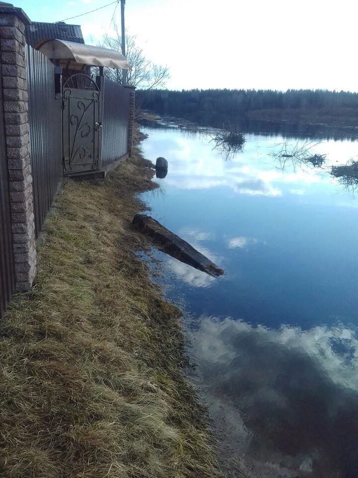 Деревня волочек. Деревня. дорога в деревне. река. вышневолоцкое водохранилище тверская область.
