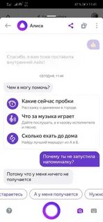 Алиса исчезни