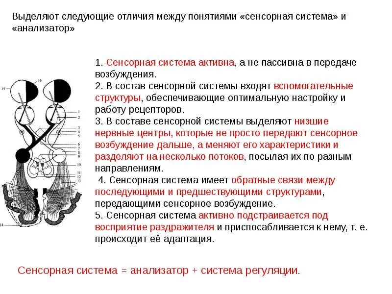 Его отличие в том что