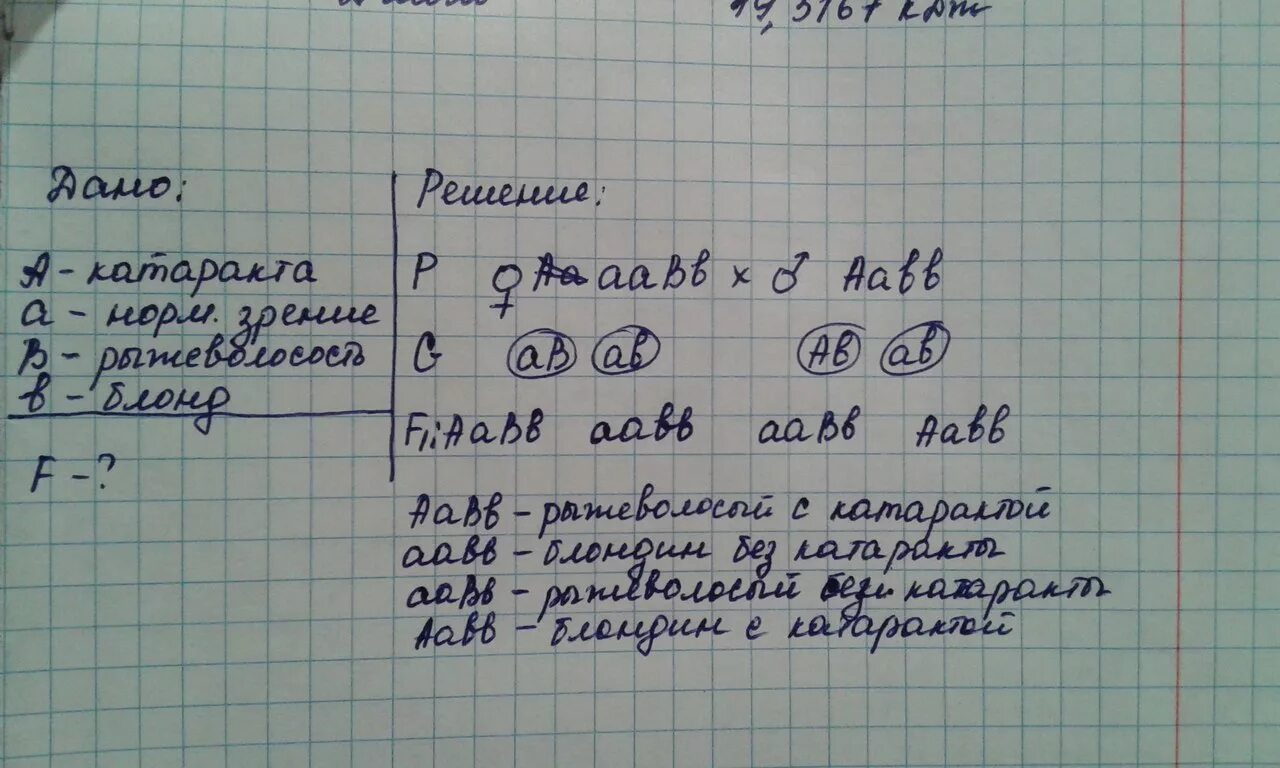 Нормальная форма эритроцитов неполно доминирует над серповидной