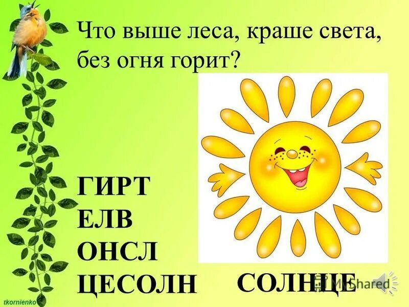 Спорят с солнцем