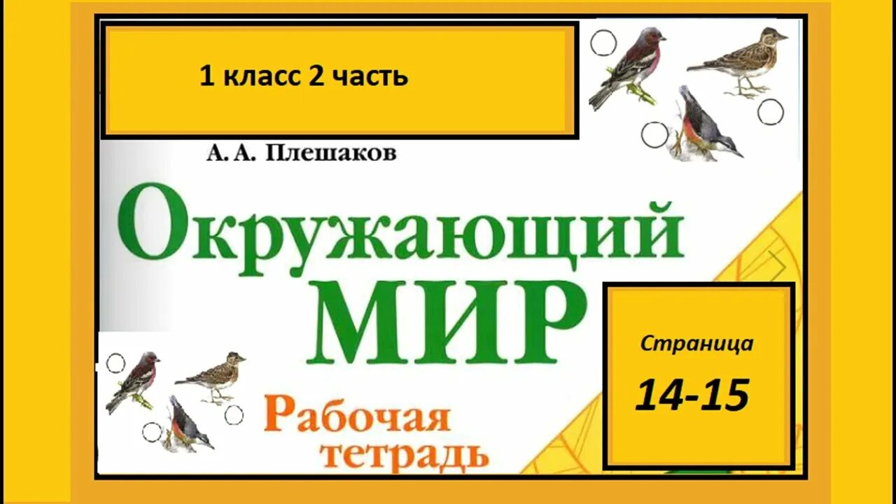 Как зимой помочь птицам 1 класс окружающий мир. Окружающий мир 1 класс как помочь птицам рабочая тетрадь. Окружающий мир 1 класс. Как зимой помочь птицам 1 класс окружающий мир рабочая тетрадь.