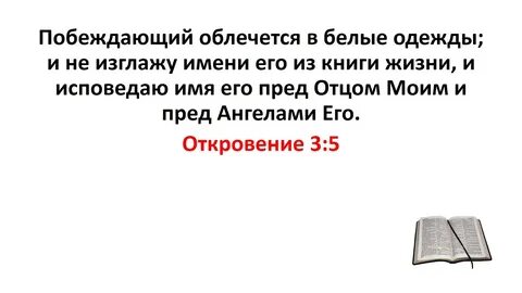 Библия 15 15