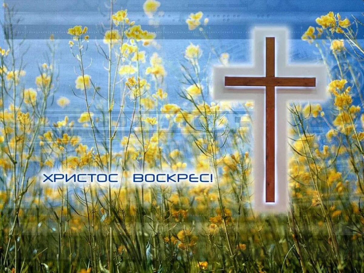 Открытки с пасхой протестантские. Пасхальные открытки стильные. Христианская пасха. Христианские поздравления с воскресением христовым. Пасхальные открытки.
