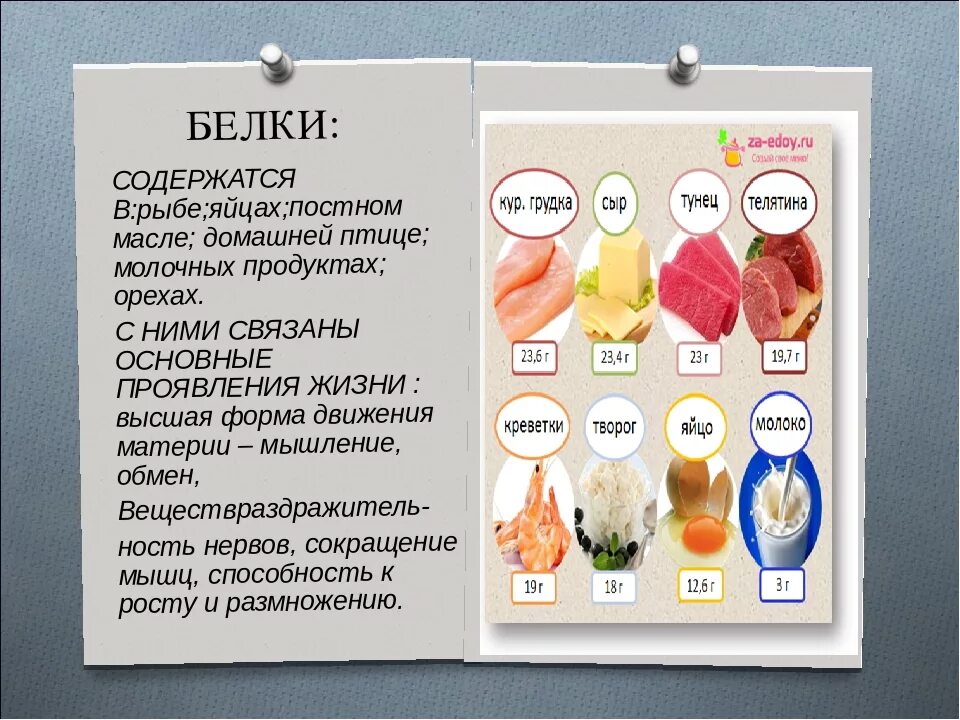 Большое содержание белка. Белок в продуктах. В каких продуктах содержится белок. Белки продукты список. Белковые продукты список.