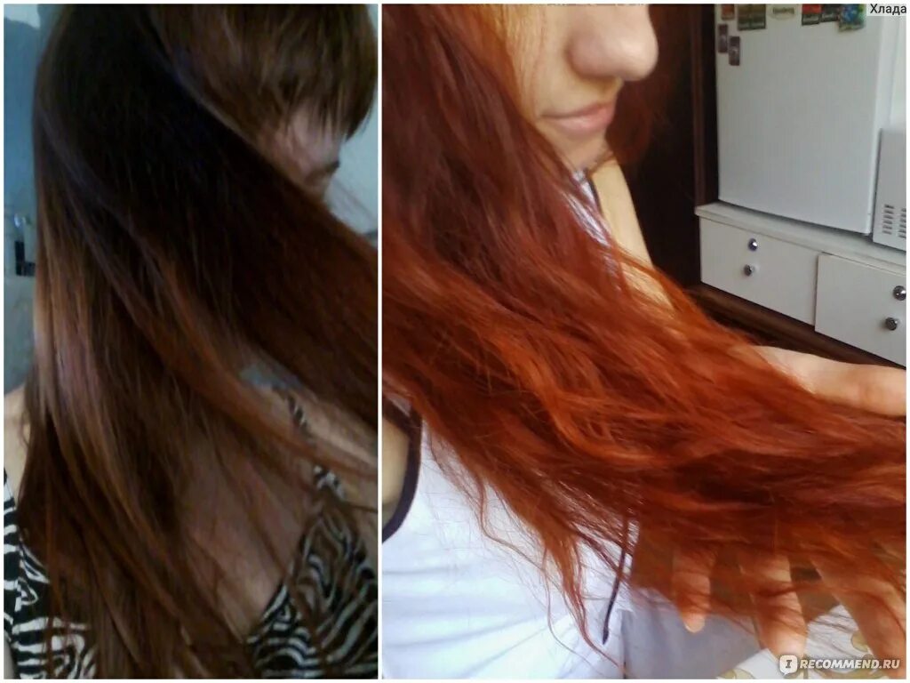 Хна на темные волосы до и после Comment Avoir Les Cheveux Brillants Comme Chez Le Coiffeur  Astuce cheveux, De