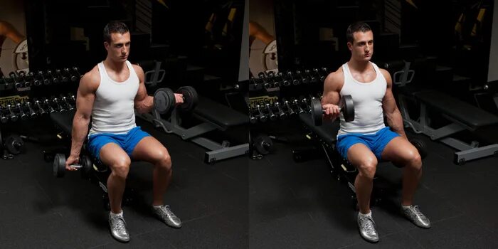 Curl haxx. Alternating Dumbbell Hammer Curls. Seated Hammer Curl. Hummer Curls упражнение. Шраги с гантелями сидя.