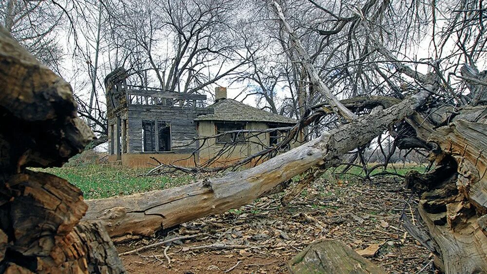 Монстры славянской мифологии вендиго. Skinwalker американская легенда. Ранчо скинуокер оборотни. Skinwolker. Skinwolker.