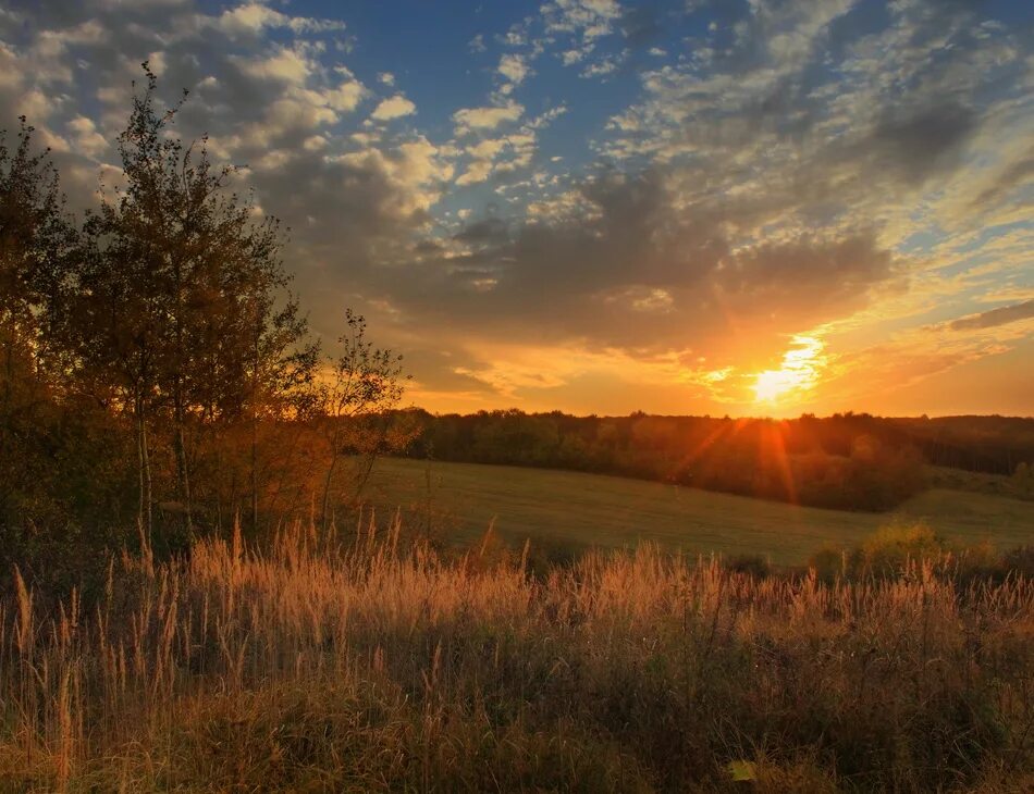 солнце пославшее на землю последний луч. лучи солнца. солнце пославшее на землю последний луч. последний луч солнца укажет. поле вечером.