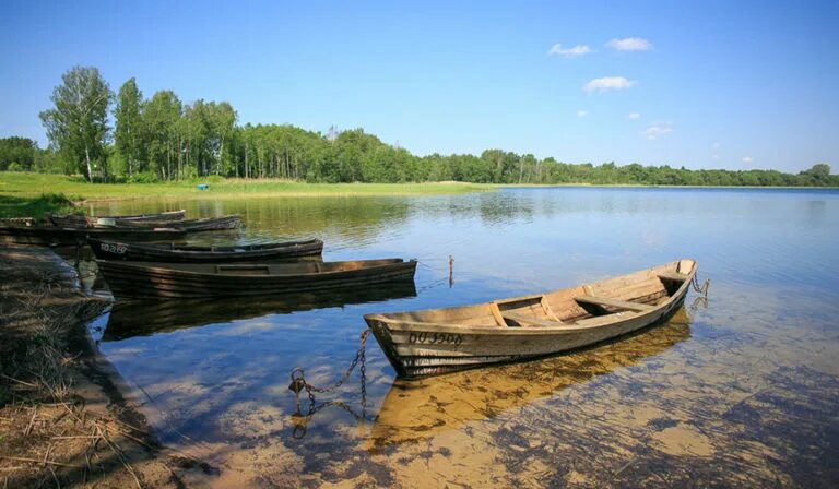 Озёра Беларуси: самые большие, самые чистые, самые глубокие