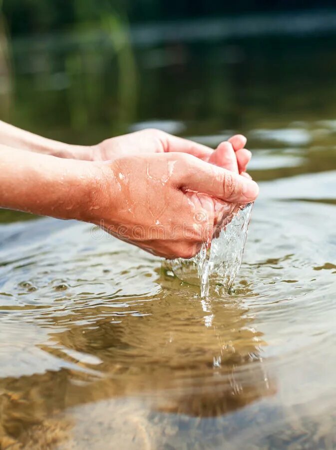 Вода в ладонях. Черпает воду из реки. Человек пьет воду из ручья. Вода в руках. Рис держит воду