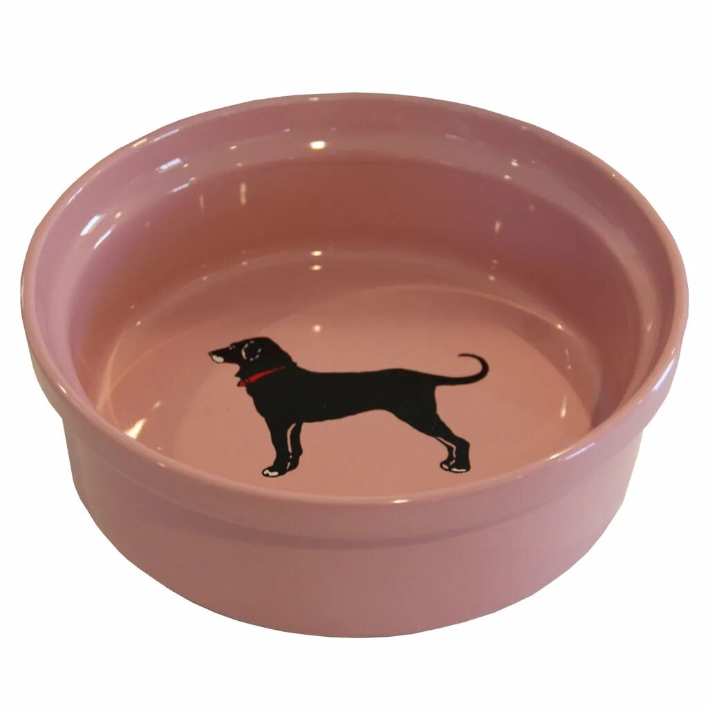 Dog bowls. Dog bowl. bowl for dog. dog bowl выражение. gone dog bowls.