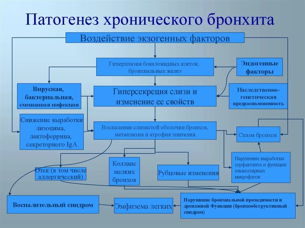 Схема бронхита. Хронический бронхит патогенез схема. Механизм развития бронхита. Хронический обструктивный бронхит схема. Патогенез хронического обструктивного бронхита схема.