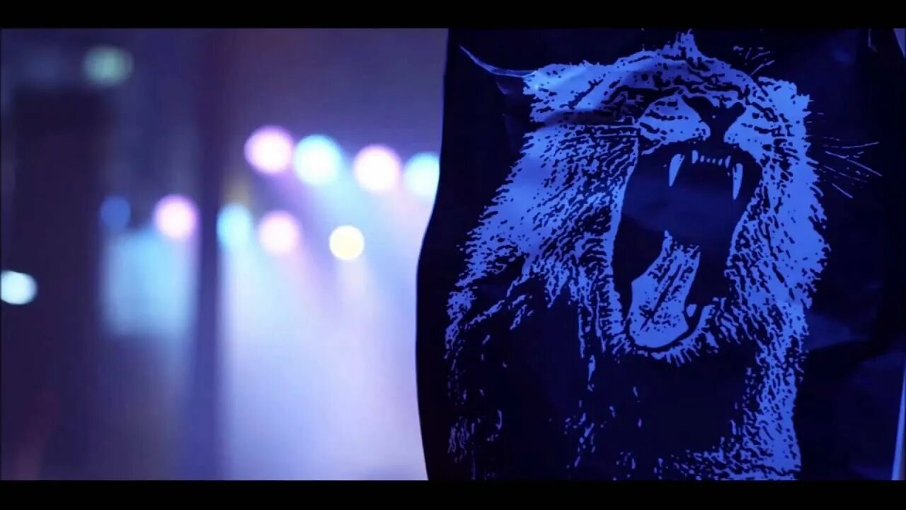 Martin Garrix animals обложка. Martin Garrix animals 2013. Песня animals martin garrix