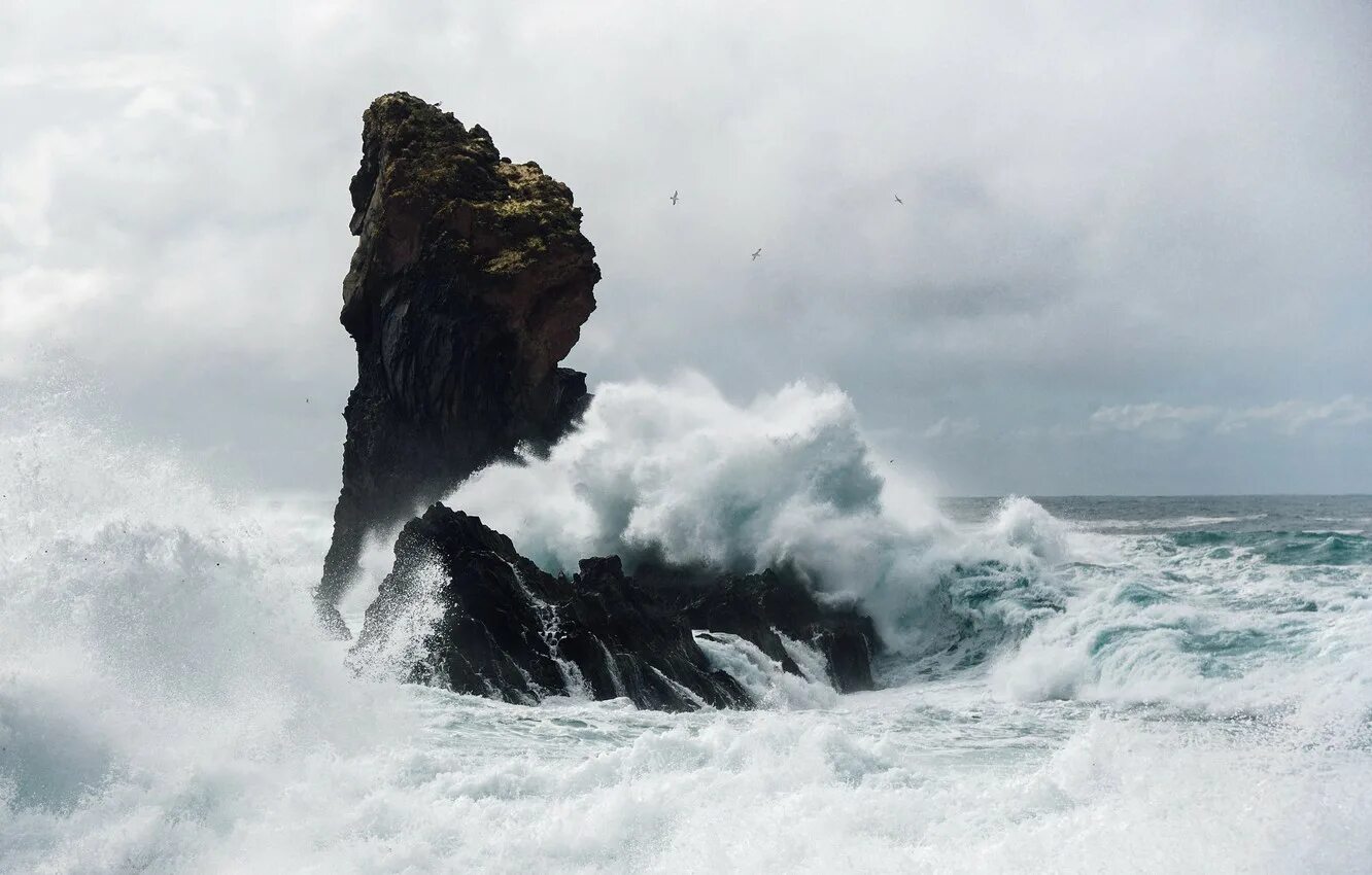 волна 40 метров цунами япония. волна разрушает. цунами мегацунами. штормовые волны скалы. волновая абразия.