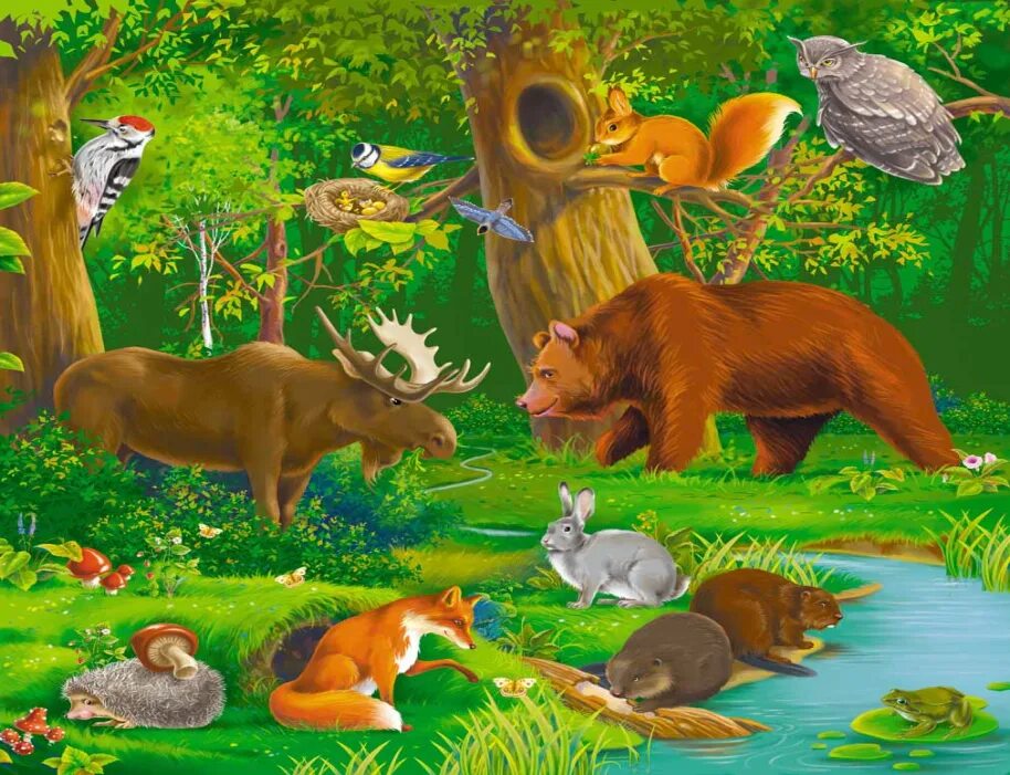 Умк животные. Звери класс животных. Науки зоологии. Презентация про домашних животных. Животные 3 класс окружающий мир.