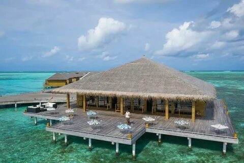 Cocoon maldives 5