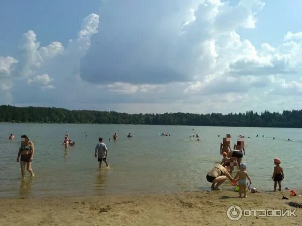 Истра водохранилище. Турбаза оптимист истринское водохранилище. Пляж лечищево истринское водохранилище. Истра водохранилище. Вода в истринском водохранилище.