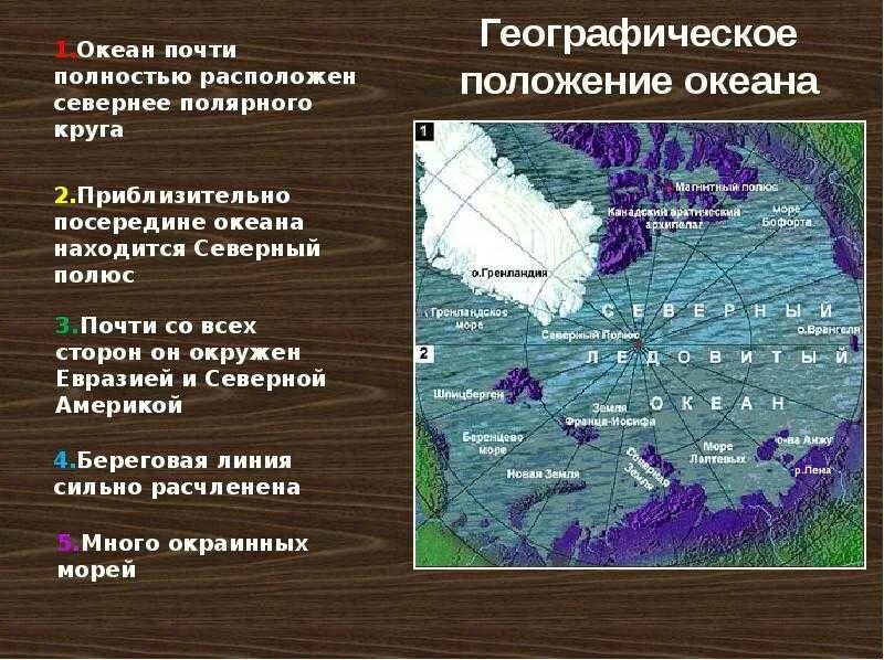 Моря северного ледовитого океана находятся на. Моря Северного Ледовитого. Моря Северного Ледовитого океана список. Основные моря Северного Ледовитого океана. Северный Ледовитый океан схема.