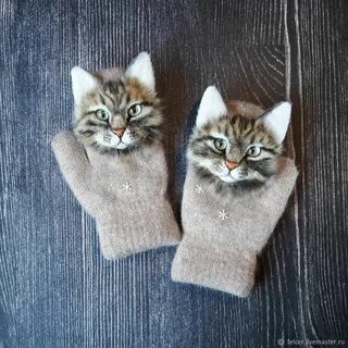 Кот варежка