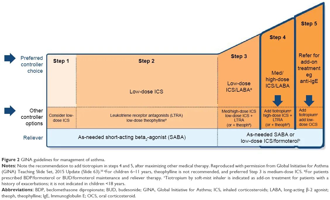 Gina (Global initiative for asthma). Gina 2021 бронхиальная астма. Gina 2020. Ступенчатая терапия бронхиальной астмы по Gina 2021.