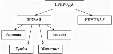 Природные богатства заполни схему окружающий мир