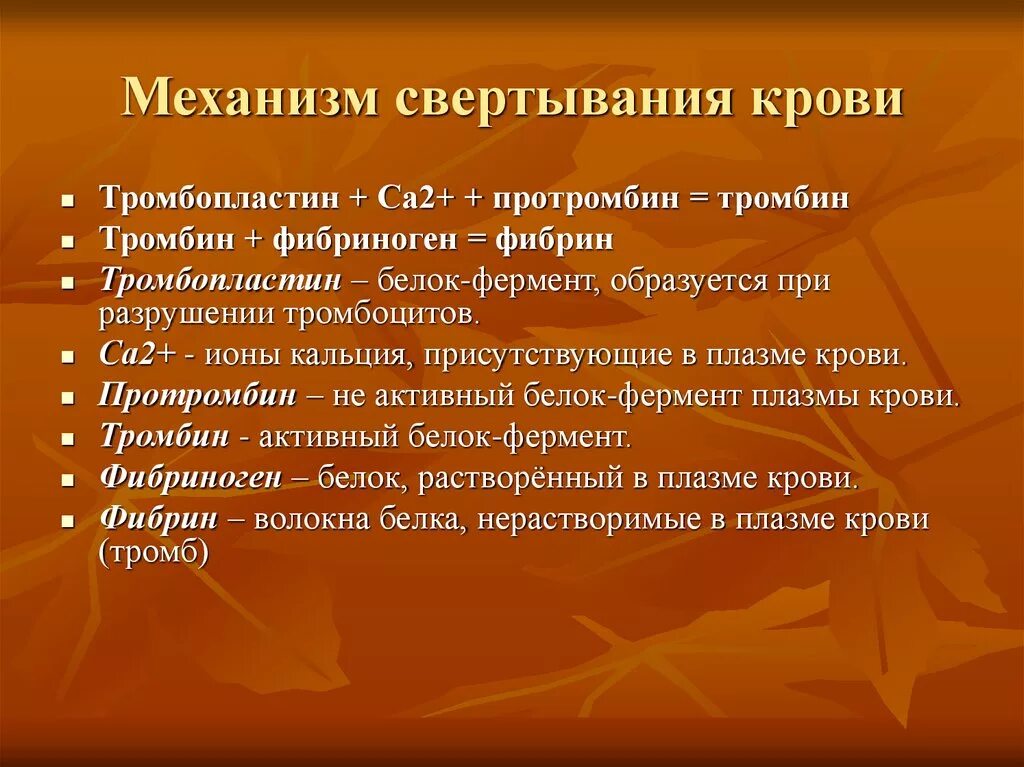 Ферменты свертывания крови. Механизм свертывания крови. Механимзм свёртывания крови. Механизм свертывания крови кратко. Протромбин механизм свертывания крови.