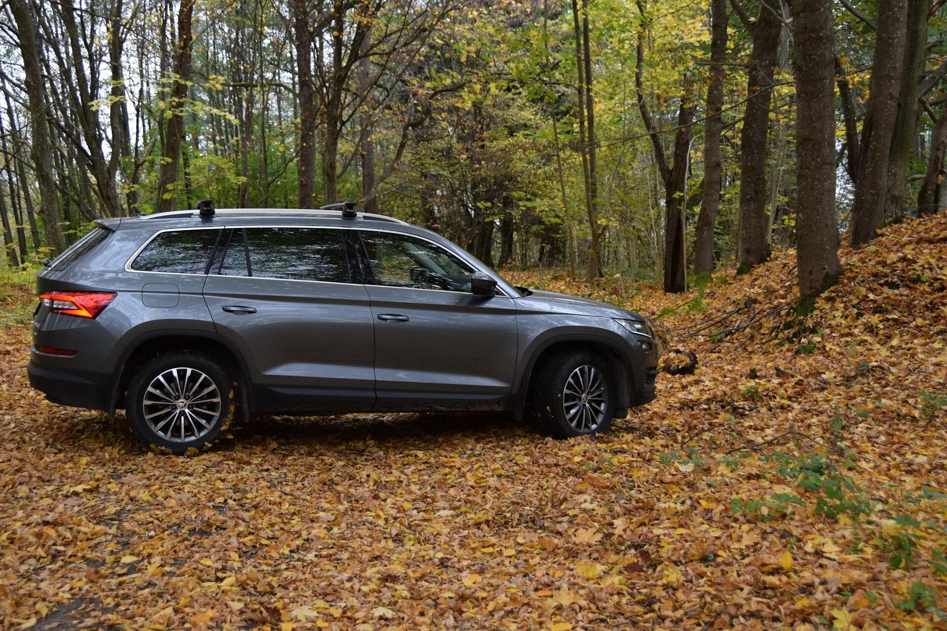 Замена 215/65 17 на 235/55 19. - Skoda Kodiaq (1G), 1,4 л, 2018 года колёсные ди