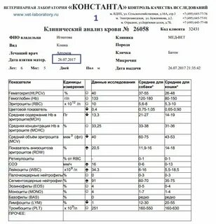 Анализы примеры для студентов