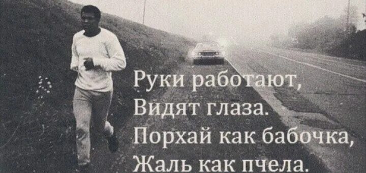 Jamik порхай как бабочка жаль как пчела. Порхай как бабочка жаль как пчела. руки работают видят глаза порхай как бабочка жаль как пчела. порхай как бабочка жаль как пчела картинка. жаль как пчела.