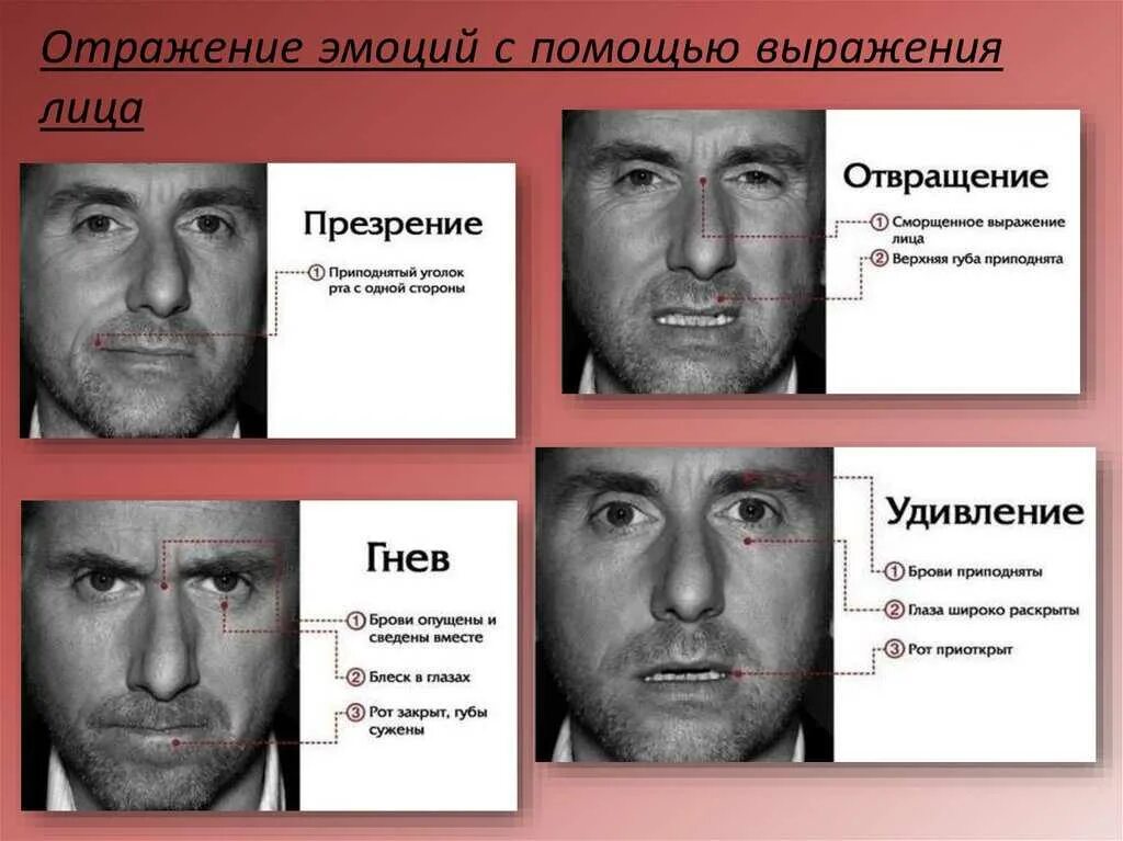 Выражение взгляда. Пол экман микровыражения. эмоции по мимике. изучение мимики человека. внешнее выражение эмоций.