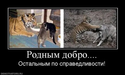 Добро про справедливость