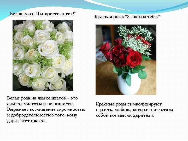 Белые розы что значит