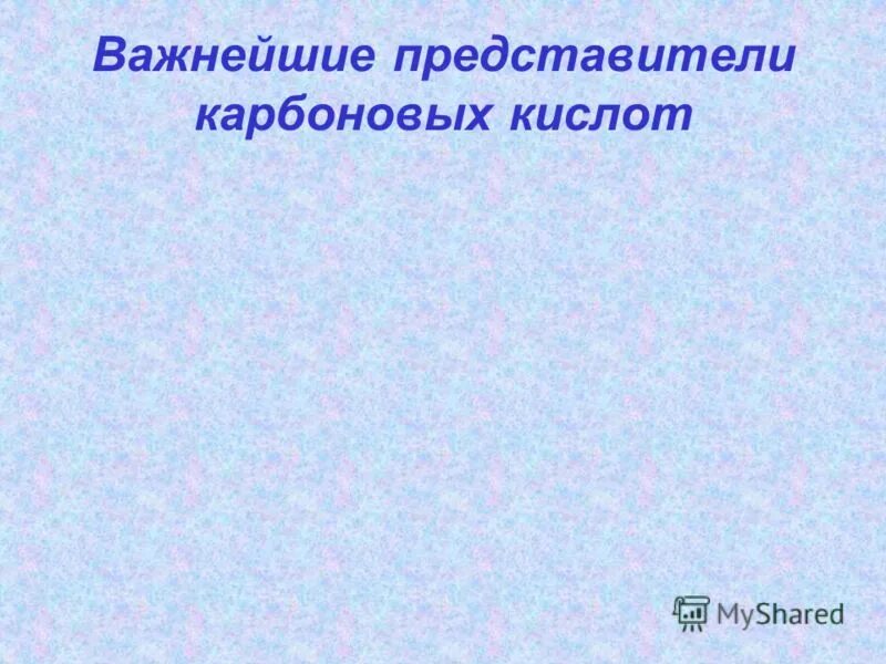 Важнейшие представители. Важнейшие представители