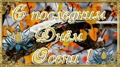 Последний день осени 30 ноября доброе утро